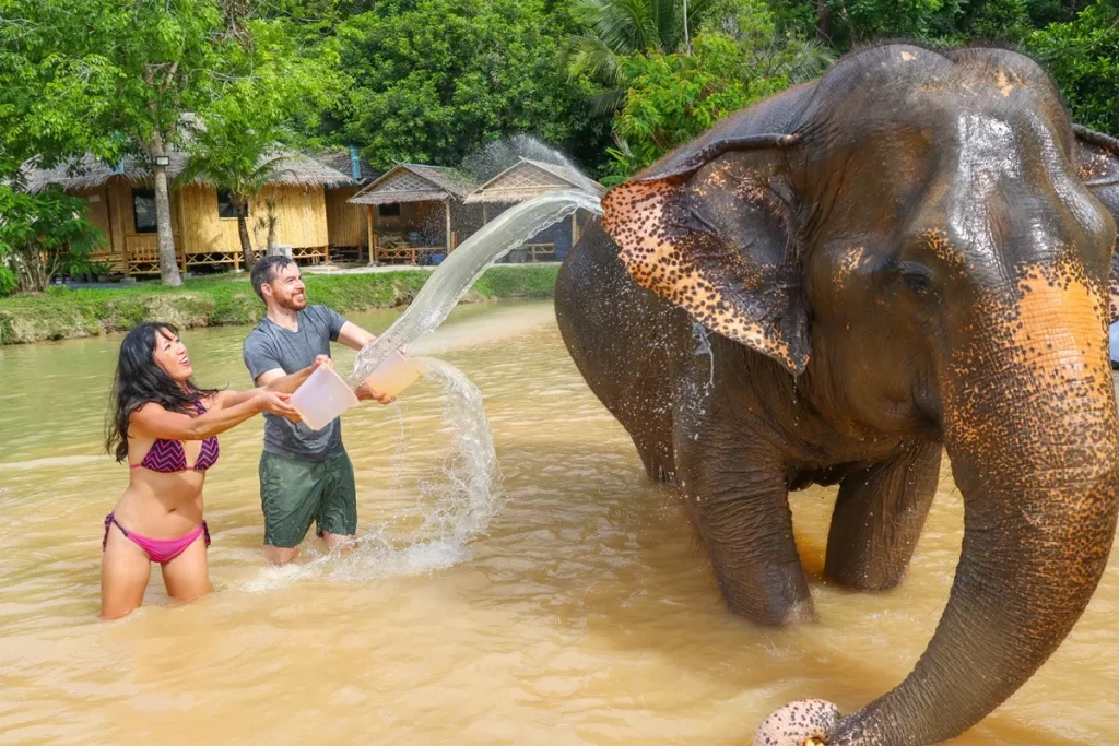 Best Thailand elephant experiences